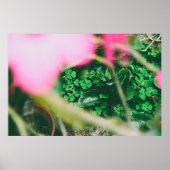 四葉のクローバー チャーム ポスター (正面)