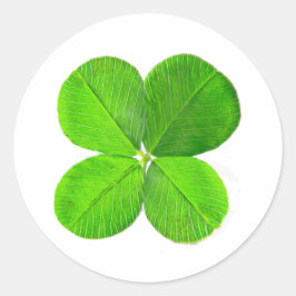 四葉クローバーザミュージアムザズルギフト ラウンドシール