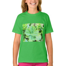 四葉クローバー