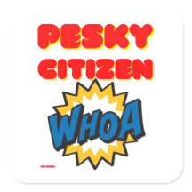 四角いステッカー「PESKY CITIZEN」