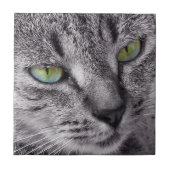 四角いタイルを独自に作成する – tabby cat タイル (正面)