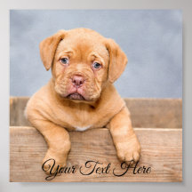 四角いパーソナライズされたポスター写真プリント。