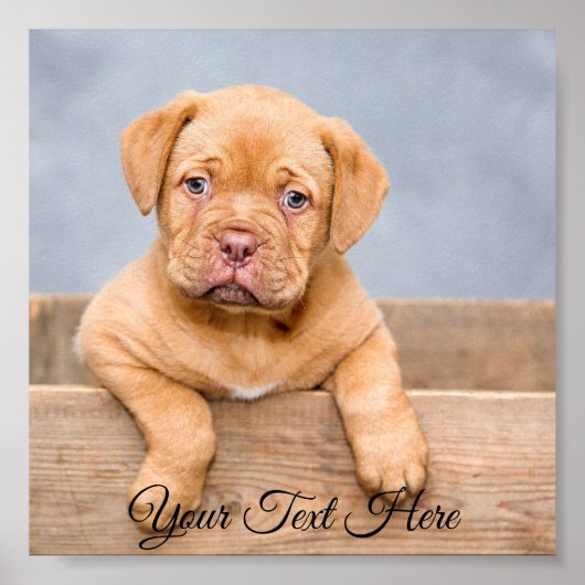 四角いパーソナライズされたポスター写真プリント。 ポスター (正面)