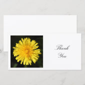 四角い写真 - 蒲公英 サンキューカード (正面/裏面)