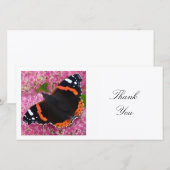四角い写真 - 赤いアドミラル蝶 サンキューカード (正面/裏面)