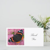 四角い写真 - 赤いアドミラル蝶 サンキューカード (スタンド正面)