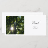 四角い写真 – Sun Through the Trees サンキューカード (正面/裏面)