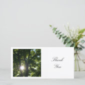 四角い写真 – Sun Through the Trees サンキューカード (スタンド正面)