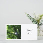 四角い写真 – Sun Through the Trees サンキューカード (スタンド正面)