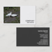 四角い写真(v2) – 白鳩 名刺 (正面/裏面)