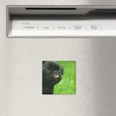 四角い四角い磁石 マグネット (インサイチュ (食洗機))