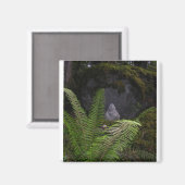 四角磁石 マグネット (正面/裏面)