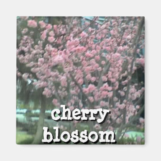 四角磁石 マグネット