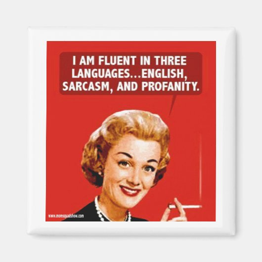 四角磁石 マグネット (正面)