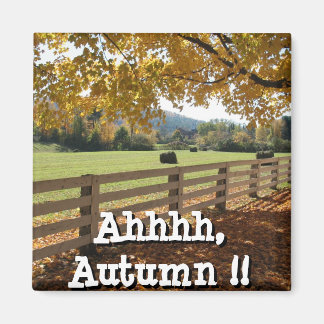 四角磁石 マグネット