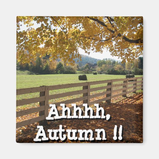 四角磁石 マグネット (正面)