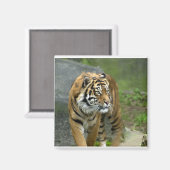 四角磁石 マグネット (正面/裏面)