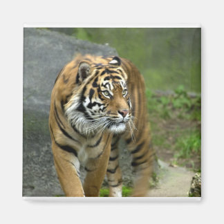 四角磁石 マグネット