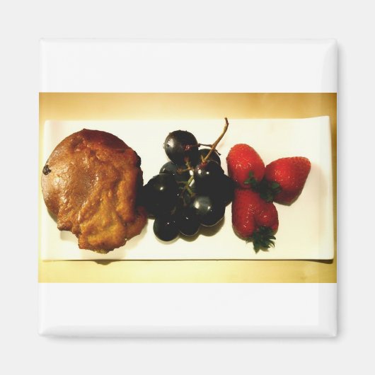 四角磁石 マグネット (正面)