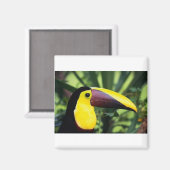 四角磁石 マグネット (正面/裏面)