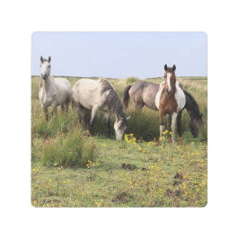 四頭の馬 メタルプリント