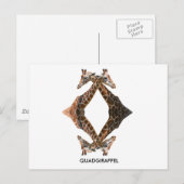 四頭脚 ポストカード (正面/裏面)