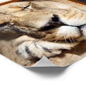 四顔 ポスター (角)