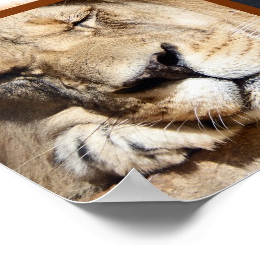 四顔 ポスター (角)