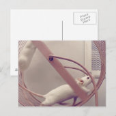 回し車のマウス ポストカード (正面/裏面)