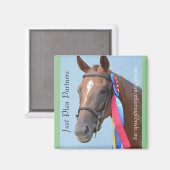 回収可能なマグネットシリーズ – 単なるプランパートナー マグネット (正面/裏面)