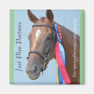 回収可能なマグネットシリーズ – 単なるプランパートナー マグネット