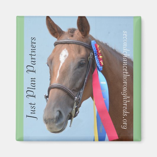 回収可能なマグネットシリーズ – 単なるプランパートナー マグネット (正面)