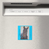 回収可能磁石シリーズ – オフショアスコア マグネット (インサイチュ (食洗機))