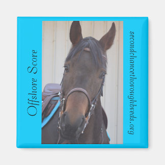 回収可能磁石シリーズ – オフショアスコア マグネット