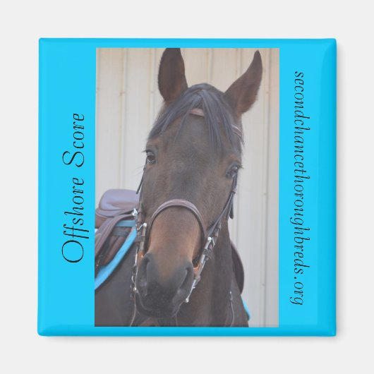 回収可能磁石シリーズ – オフショアスコア マグネット (正面)