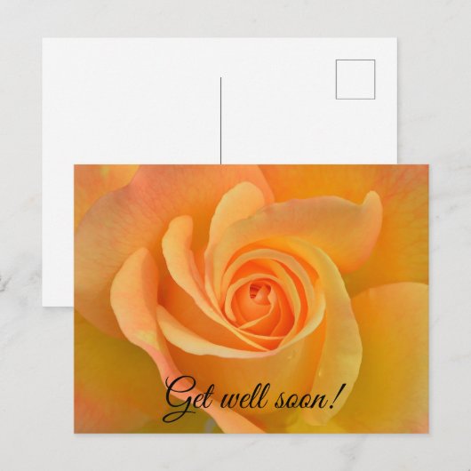 回復のバラ ポストカード (正面/裏面)