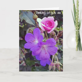 回復の速いシスターカードを取得 シーズンカード