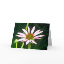 回復への期待の表明