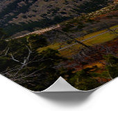 回復ポスターを期待する ポスター (角)