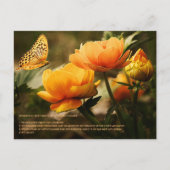 回復力 ポストカード (正面)