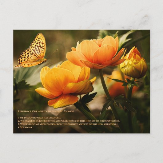 回復力 ポストカード (正面)