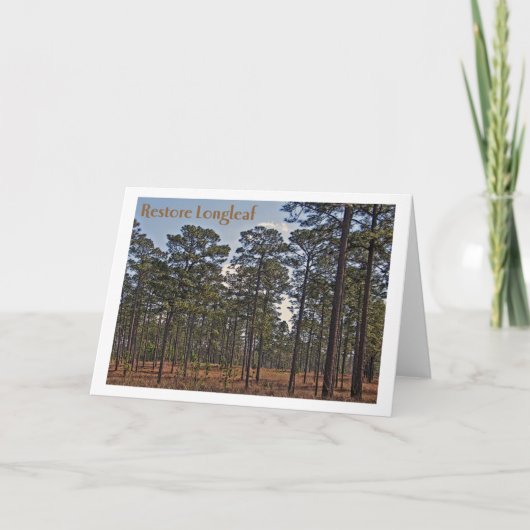 回復Longleaf カード (正面)