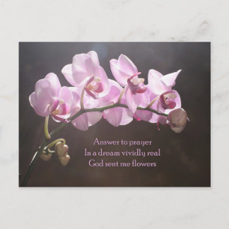 回答祈りの言葉 ポストカード