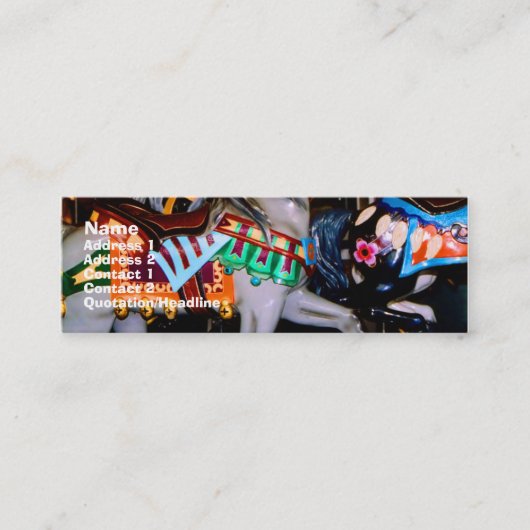 回転木馬プロファイルカード スキニー名刺 (正面)