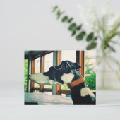 回転木馬犬 ポストカード (スタンド正面)