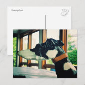 回転木馬犬 ポストカード (正面/裏面)