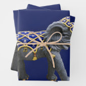 回転木馬象フォトラッピング紙 ラッピングペーパーシート (インサイチュ)