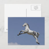回転木馬馬 ポストカード (正面/裏面)