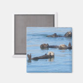 回転磁石 マグネット (正面/裏面)