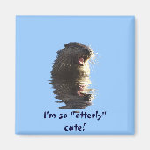 回転磁石 マグネット (正面)